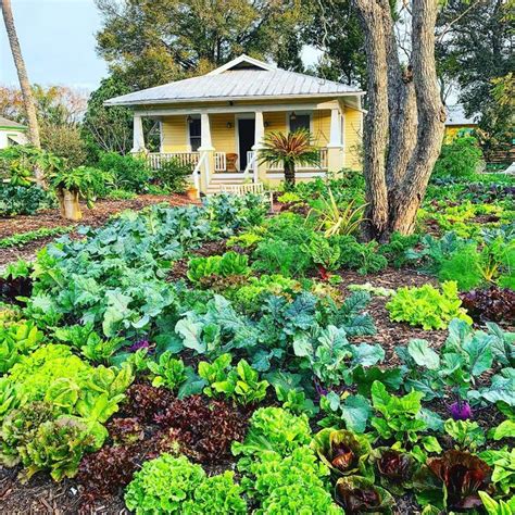 10 Vegetable Garden Design Ideas | The Family Handyman