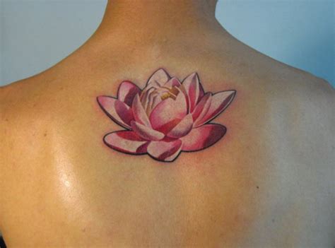 Tatouage Fleur De Lotus Avant Bras Signification