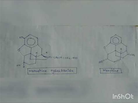 Mnemonic of nalorphine hydrochloride by Mr. Somdatta Chaudhari - YouTube