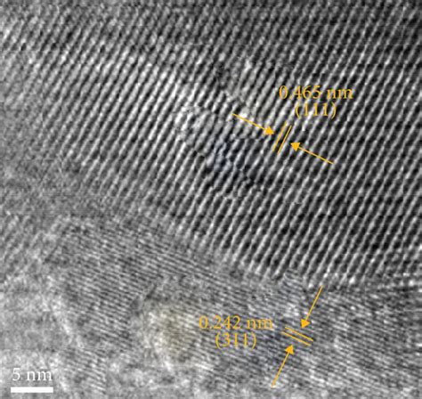 Sem Images Of Co O Nns Nf At A Low Magnification And B High