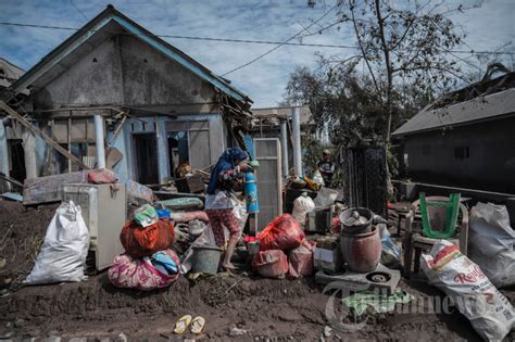 Pengungsi Erupsi Semeru Mulai Bersihkan Rumah Foto