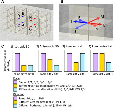 Figure 3 From Multivoxel Pattern Analysis Reveals 3D Place Information