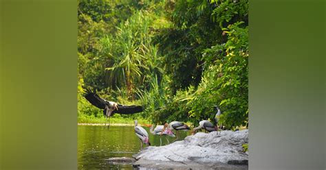 Wildlife Sanctuaries In And Around Goa To Check Out | LBB, Goa