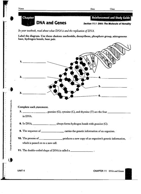 Dna Replication Coloring Worksheet Answer Key › Athens Mutual Student