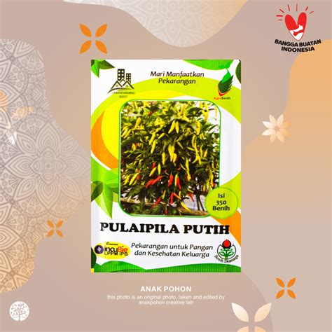 Jual Pack Benih Cabai Rawit Putih Merunduk Cabe Pulaipila Ipb