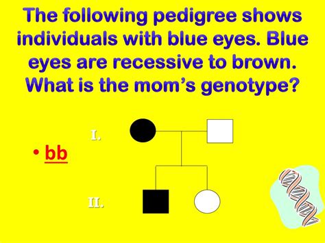 Ppt Patterns Of Heredity Review Powerpoint Presentation Free Download Id1985601