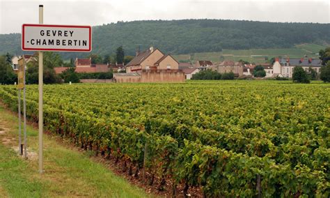 Interesting Facts about Gevrey-Chambertin in Burgundy region ...