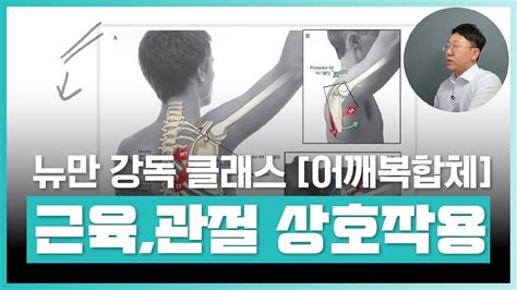 💪어깨복합체 및 근육과 관절의 상호작용 뉴만 강독클래스 5장 취업·실무·창업 에어클래스 Youtube