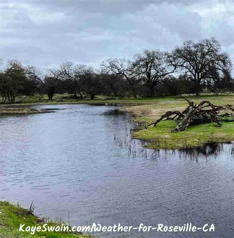 Discussing Weather for Roseville CA - KAYE SWAIN