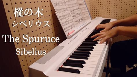 樅の木シベリウスthe Sprucesibelius Youtube