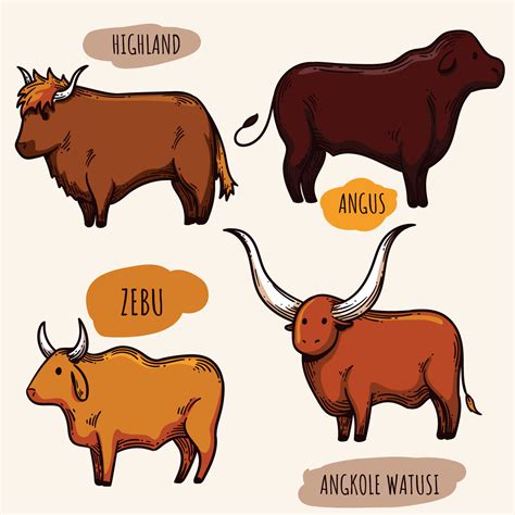 Cattle Vectors 207579 Vector Art at Vecteezy