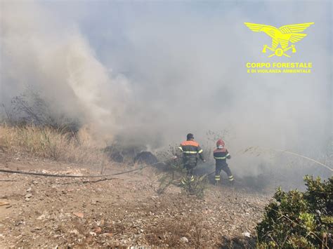 Fuoco In Sardegna Oggi 10 Incendi Nell Isola Cagliari Vistanet