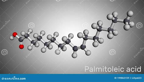 Palmitoleic Acid Molecule, Molecular Structure, Omega-7, Ball And Stick ...