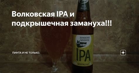 Волковская IPA и подкрышечная замануха!!! | Пинта и не только. | Дзен