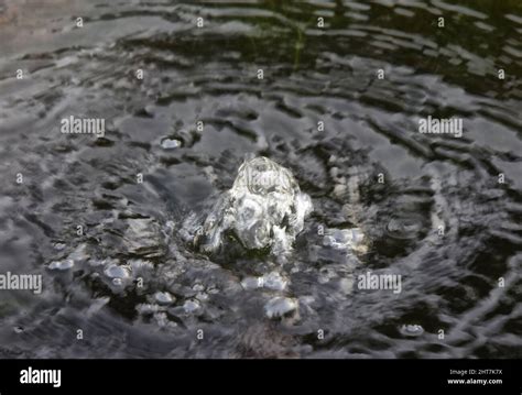 Bubbling Water Suffolk England Stock Photo Alamy