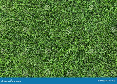 Dark Green Grass Texture