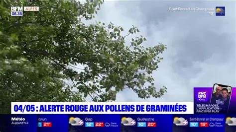 Allergies Aux Pollens Alerte Rouge Dans Les Hautes Alpes Et Les Alpes