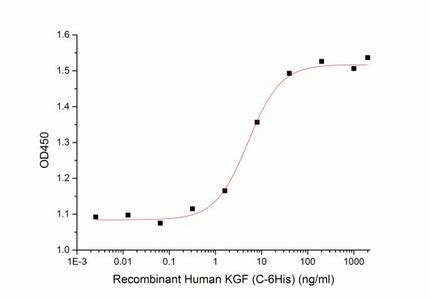 Human Kgf C His Protein Neweast Biosciences Gtpase Oncogene And