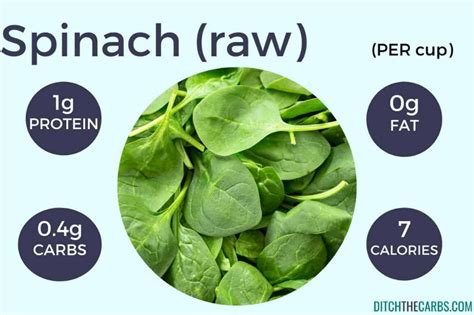 What Are The Best High Protein Fruits And High Protein Vegetables These Protein Charts And Carb