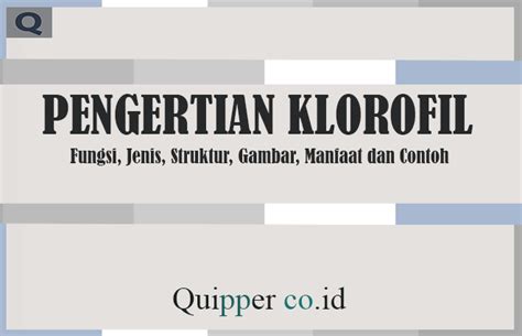 Pengertian Klorofil, Fungsi, Jenis, Struktur, dan Manfaatnya