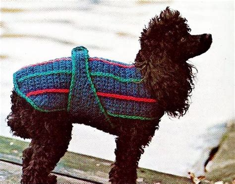 Crochet Dog Sweater Patterns for All Sizes - Beautiful Dawn Designs