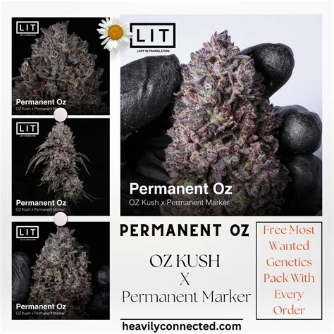 Permanent Oz Lit Farms Heavily Connected Seeds