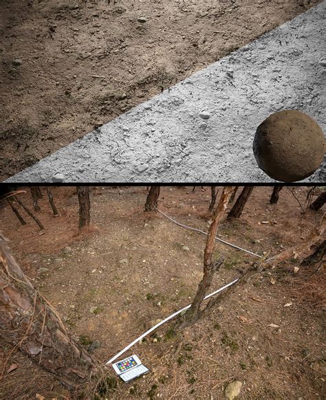 Free PBR Forest ground materials! #02 - Materials and Textures - Blender Artists Community