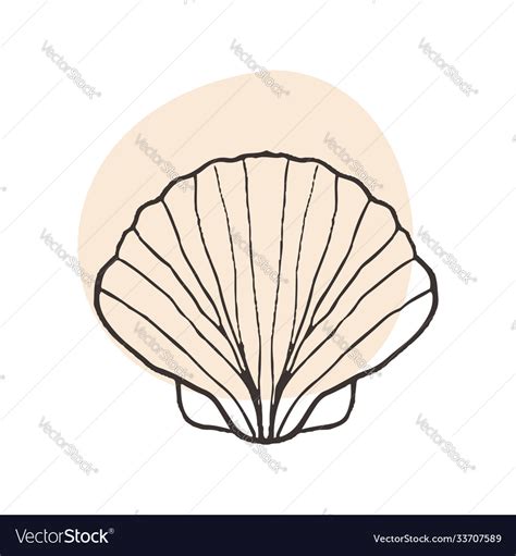 Scallop Shell From Seabed Sketch Drawing Vector Image