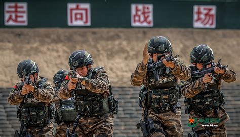 多角度围观武警特战队员实战化训练精彩瞬间 中国军网