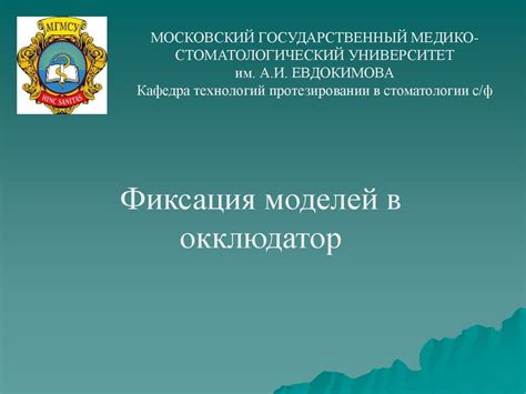Фиксация моделей в окклюдатор - презентация онлайн
