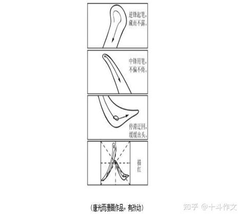 高考满分作文欣赏——2021·新高考全国卷Ⅱ 知乎