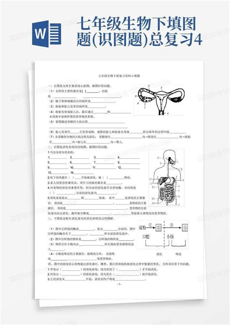 七年级生物下填图题识图题总复习4word模板下载编号qbyodnbo熊猫办公