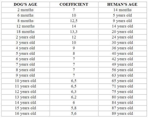 How Old Is A Dog At 4 Months In Dog Years? Exploring Canine Age Conversion