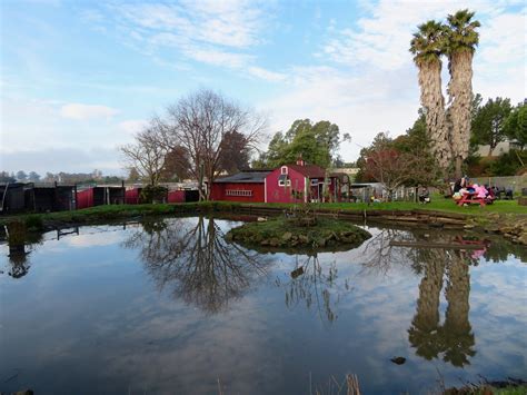 Friends Of Loma Vista Farm — Visit Vallejo