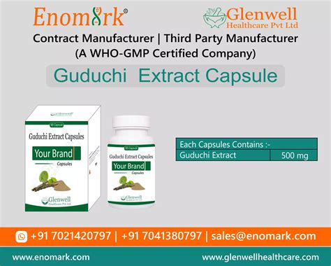 Giloy Tinospora Cordifolia Capsule Contract Manufacturer