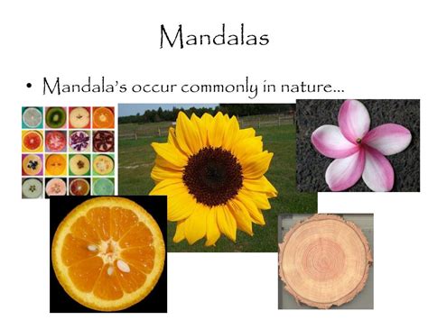 PPT - Mandalas and Radial Balance PowerPoint Presentation, free ...