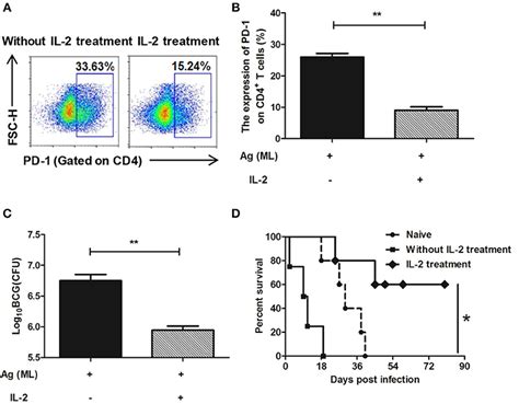 Frontiers Il Restores T Cell Dysfunction Induced By Persistent