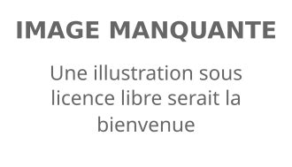 jean charles deguise wikipedia