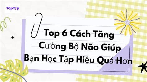 Toptip Top C Ch T Ng C Ng B N O Gi P B N H C T P Hi U Qu H N Ybox