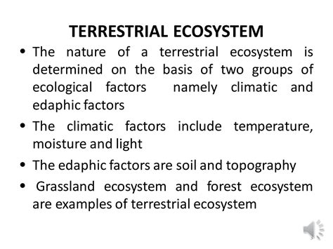 SOLUTION: What is a Terrestrial Ecosystem?|Definition, Examples & Types - Studypool