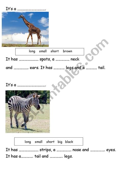 Describing Animals Esl Worksheet By Natulya1