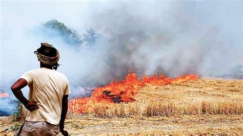 Punjab Records Over 1 700 Farm Fires ‘very Poor’ Aqi In Parts Of Haryana