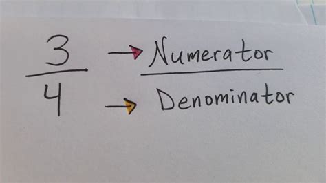 Numerator and denominator of a fraction | Fractions | Pre-Algebra ...