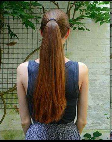 Pin By Mario Nitzek On Hair Long Hair Ponytail Long Hair Pictures