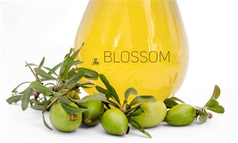 Morocco Argan Oil - The Blossom