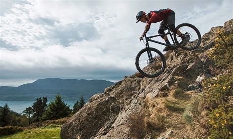 vitus rapide sentier alloy hardtails top revamped consumer