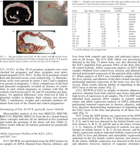 Sequence Chromatograms Of The Igf Locus Amplified From Control And