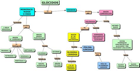 Mapa Conceptual De Nutrientes Demi Mapa Porn Sex Picture