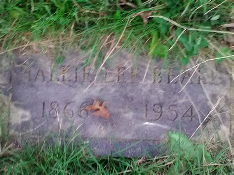 Hallie Lee Perkins Beall 1866 1954 Mémorial Find a Grave