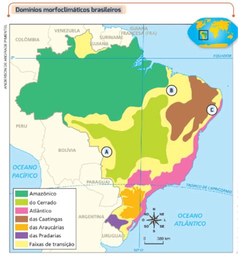 Ci Ncias Da Natureza Quais S O Os Principais Ecossistemas Brasileiros